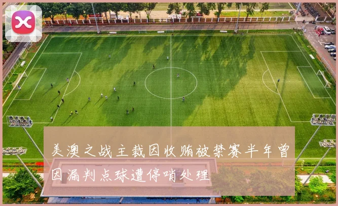 美澳之战主裁因收贿被禁赛半年曾因漏判点球遭停哨处理
