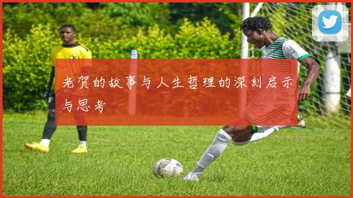 老贺的故事与人生哲理的深刻启示与思考